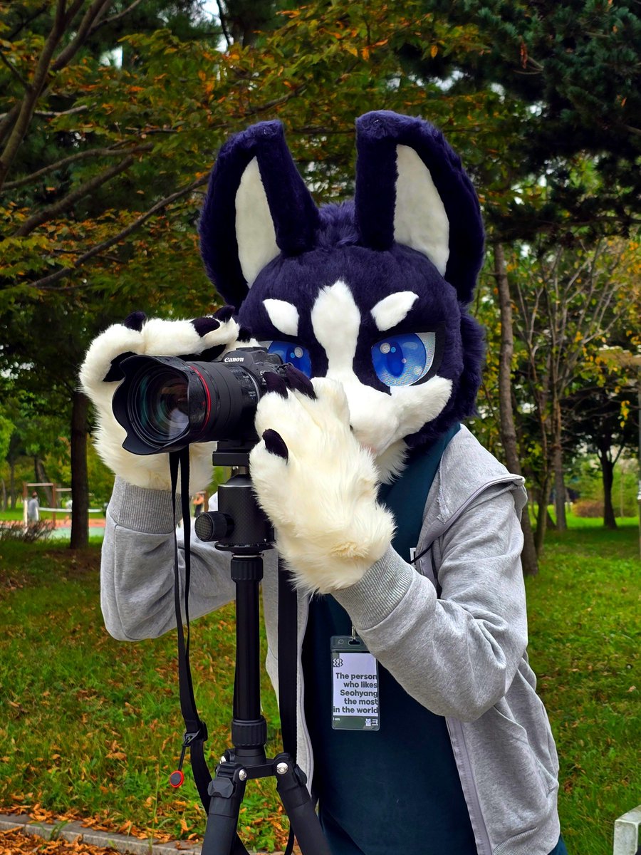 pokachip_green's tweet photo. Camera Works
@Bolk_FS https://t.co/KmSYW7ESbs