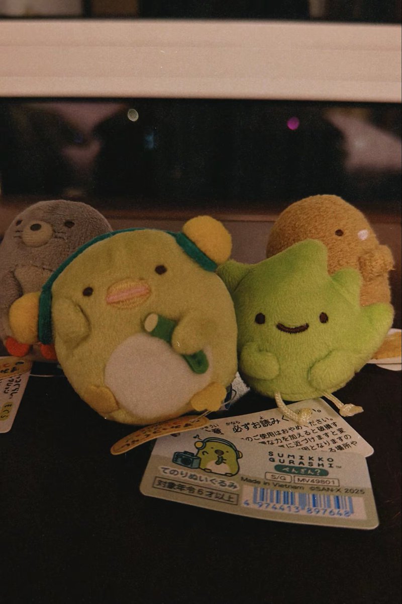 Ma7u0917's tweet photo. 萌 #角落生物 https://t.co/O25BiEHim7