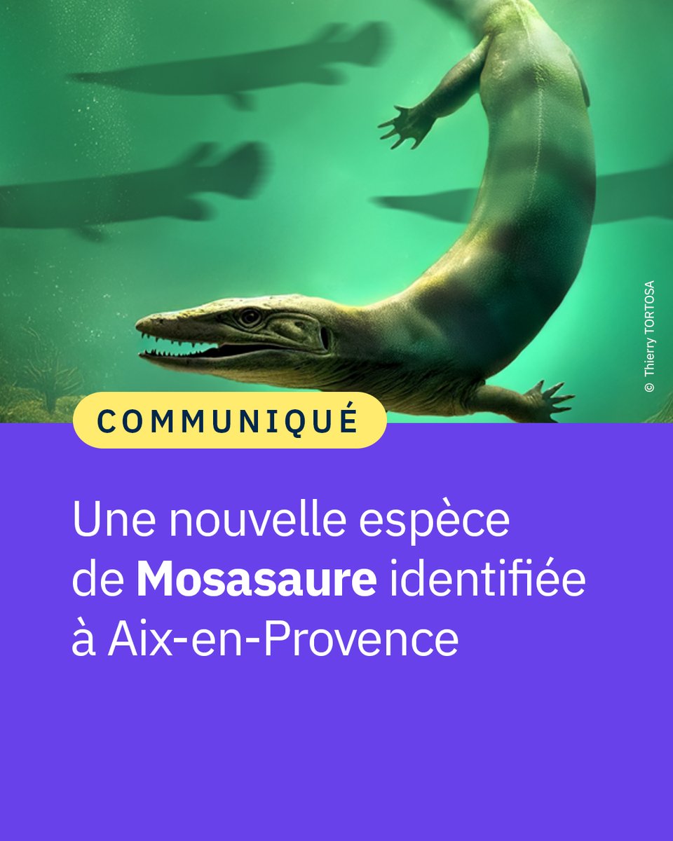 CNRS tweet picture