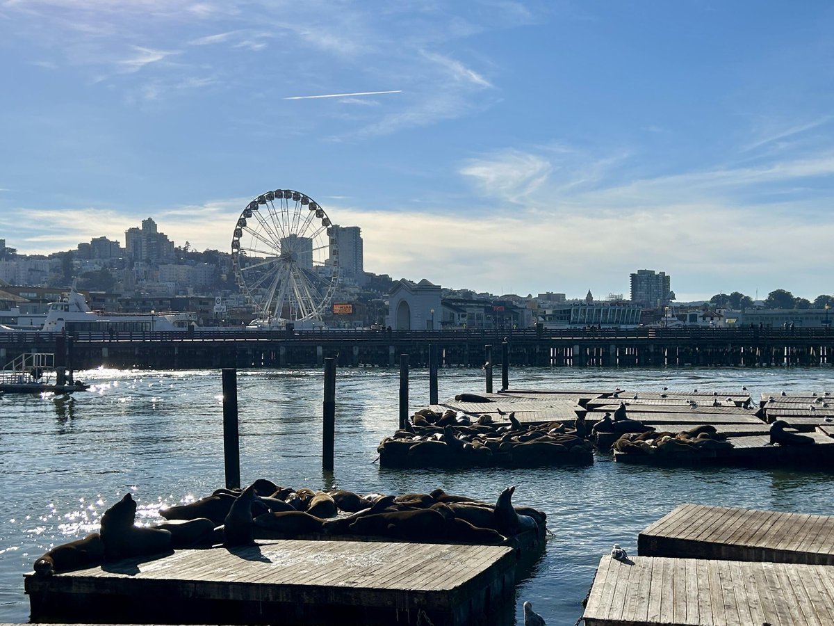 ThoraT14824's tweet photo. On the Golden Gate Bridge, they are responsible for being "blown out by the wind," and at Fisherman's Wharf, they are responsible for being "well-fed and well-hydrated." https://t.co/KaVOD2vBkd