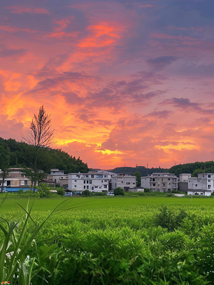 NatishaRud7c's tweet photo. 🌸 🌈 😍 网红空姐heart.

长沙your币圈大佬杠杆科Embrawarmce普福州外围上门 sunshineHSJAKJU EBHFK SNMD LHH武汉DandS厦门K
🐧群：1108197089（是群哦)
飞机：https://t.co/fgl6P3PA0w https://t.co/Eukj9JAXaf