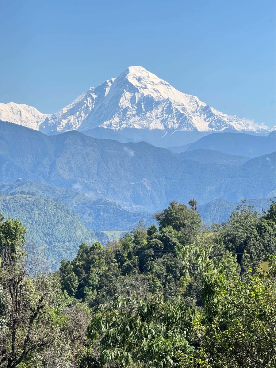 Khimlalp's tweet photo. हिमाल राम्रो त टाढा बाटै । अर्घाखांची काफलनेटी बाट देखिएको धौलागिरी हिमाल https://t.co/H4ePm7CIwQ