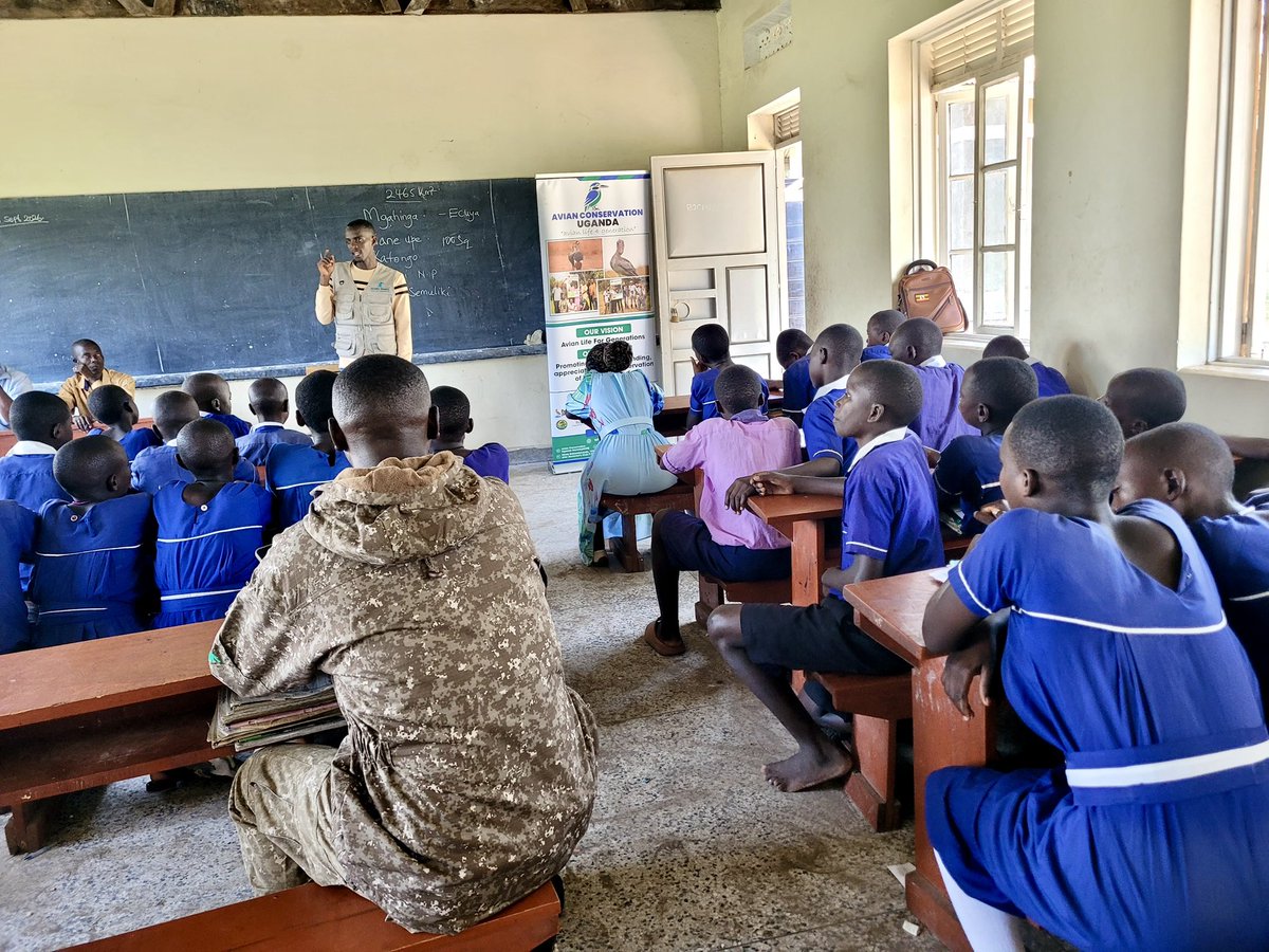 acus_uganda's tweet photo. Conservation education is most powerful when it reaches young minds early.

At Matanda Primary School in Kihihi, Kanungu District, teams from @ugwildlife and Avian Conservation Uganda engaged pupils in a classroom session on environmental and wildlife conservation, helping them understand the value of the biodiversity within their communities and their role in protecting it.

Our sincere appreciation goes to the UWA and Avian Conservation Uganda teams for investing their knowledge and time in nurturing a generation that understands that protecting nature is a shared responsibility.

#ConservationEducation #AvianConservationUganda