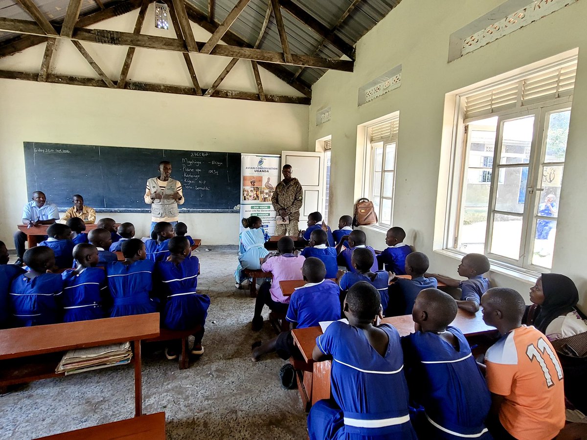 acus_uganda's tweet photo. Conservation education is most powerful when it reaches young minds early.

At Matanda Primary School in Kihihi, Kanungu District, teams from @ugwildlife and Avian Conservation Uganda engaged pupils in a classroom session on environmental and wildlife conservation, helping them understand the value of the biodiversity within their communities and their role in protecting it.

Our sincere appreciation goes to the UWA and Avian Conservation Uganda teams for investing their knowledge and time in nurturing a generation that understands that protecting nature is a shared responsibility.

#ConservationEducation #AvianConservationUganda