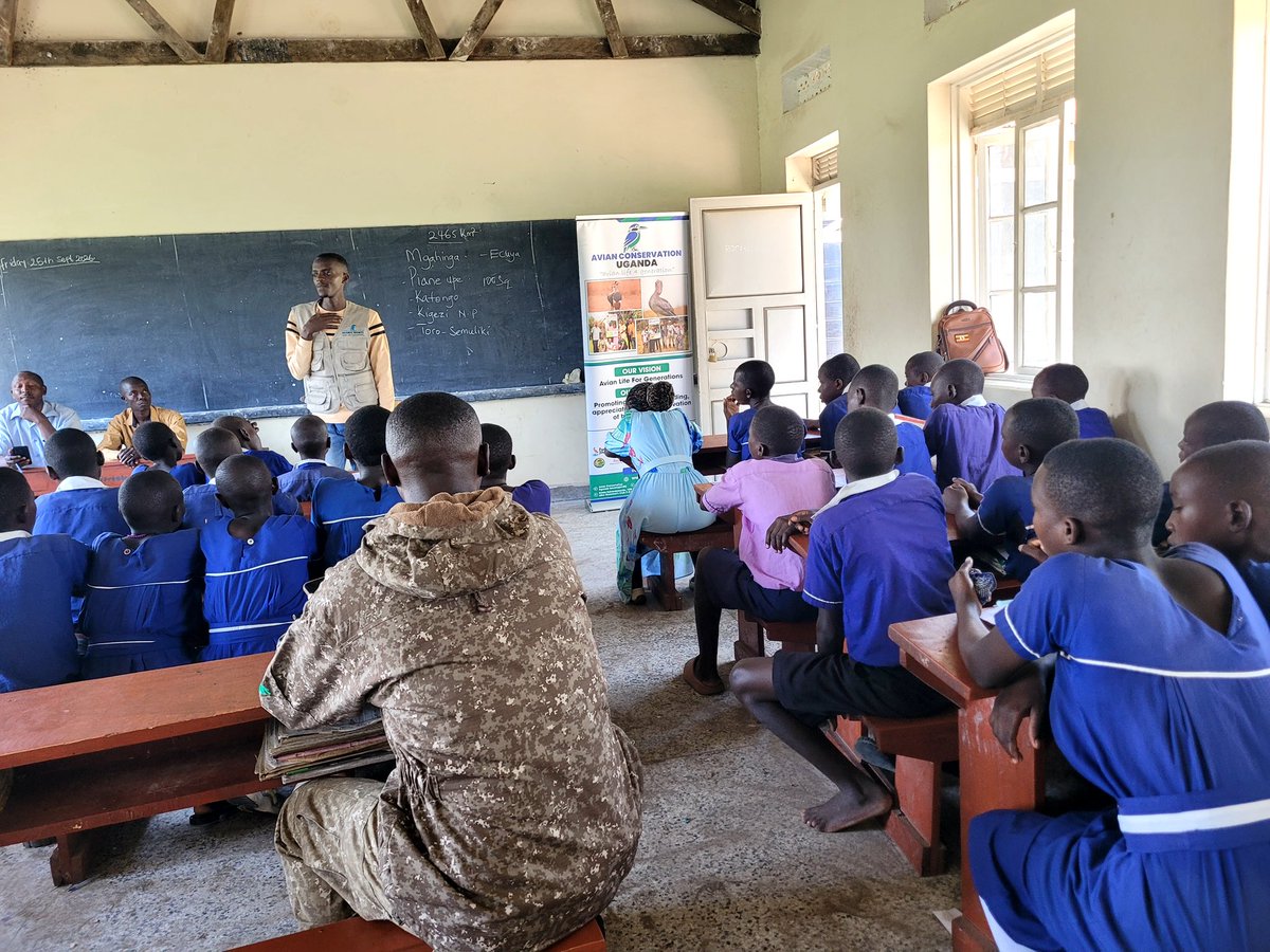 acus_uganda's tweet photo. Conservation education is most powerful when it reaches young minds early.

At Matanda Primary School in Kihihi, Kanungu District, teams from @ugwildlife and Avian Conservation Uganda engaged pupils in a classroom session on environmental and wildlife conservation, helping them understand the value of the biodiversity within their communities and their role in protecting it.

Our sincere appreciation goes to the UWA and Avian Conservation Uganda teams for investing their knowledge and time in nurturing a generation that understands that protecting nature is a shared responsibility.

#ConservationEducation #AvianConservationUganda