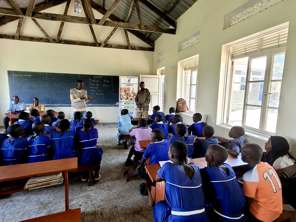 acus_uganda's tweet photo. Conservation education is most powerful when it reaches young minds early.

At Matanda Primary School in Kihihi, Kanungu District, teams from @ugwildlife and Avian Conservation Uganda engaged pupils in a classroom session on environmental and wildlife conservation, helping them understand the value of the biodiversity within their communities and their role in protecting it.

Our sincere appreciation goes to the UWA and Avian Conservation Uganda teams for investing their knowledge and time in nurturing a generation that understands that protecting nature is a shared responsibility.

#ConservationEducation #AvianConservationUganda