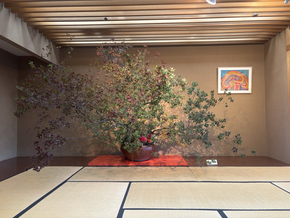 ikeru_chan's tweet photo. 日本間の作品をご紹介します
草月会館の日本間では、季節のいけばな作品を展示しております。

2026年9月28日（月）〜10月9日（金）
作家：粕谷 星華

花材：どうだんつつじ、石化けいとう、つるうめもどき、しゃれ木、流木
額：勅使河原蒼風『富士』 https://t.co/Vy80Wu55Eo