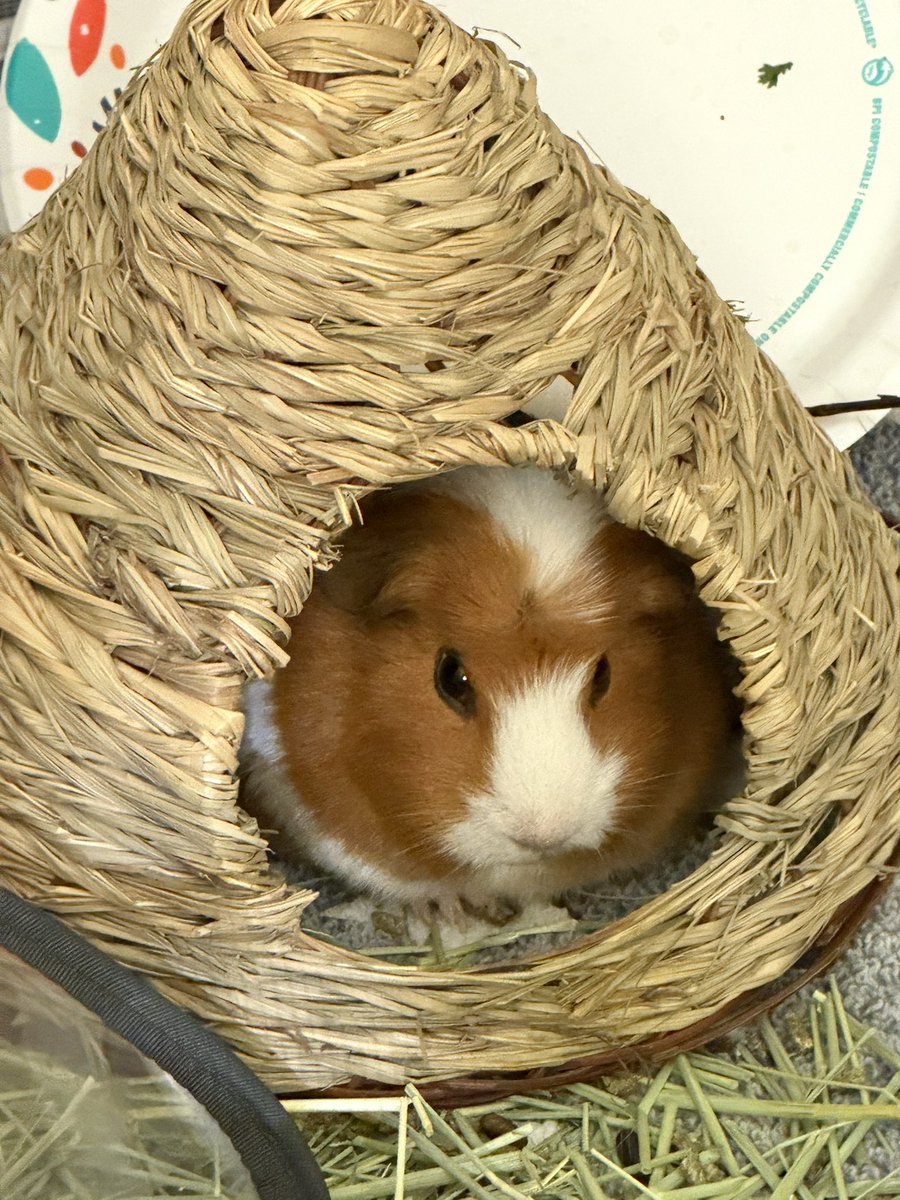 chaobellos's tweet photo. @castlewebss says hello back https://t.co/GZEnvDoeAO
