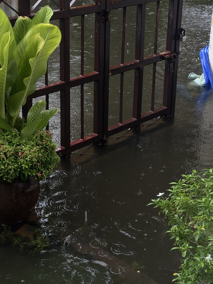 pair_piitcha's tweet photo. วันนี้อยากมาบอกทุกคนให้รักษาสุขภาพ ล้างเนื้อล้างตัว ล้างมือให้สะอาดหลังจากสัมผัสโดนน้ำสกปรกนะคะ ขอให้ทุกชีวิตรอดปลอดภัยจากสถานการณ์นี้คับ แพรก็จะดูแลตัวเองดีดีเหมือนกัน  ใครน้ำลดแล้วก็รีบทำความสะอาดนะคับ ใครยังไม่ลดก็มาฮึบไปด้วยกันนะ  🤍 #pairpiitcha https://t.co/uPR7qCqQgE