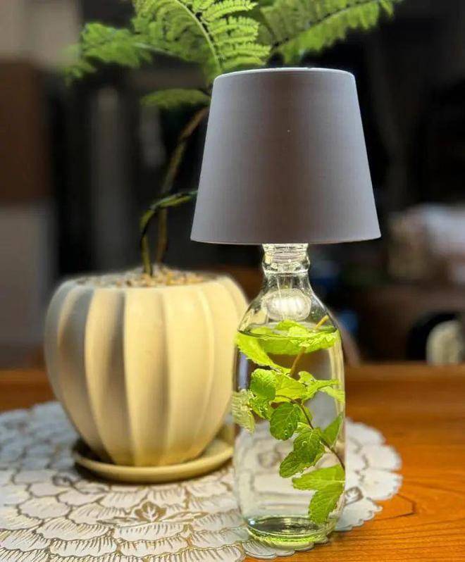 KamiLeiningd's tweet photo. Esta botella de vidrio vacía se convierte en una lámpara decorativa! Reciclar nunca fue tan fácil y bonito. （这条推文意为：这个空玻璃瓶变成了装饰灯！回收从来没这么简单又好看~）， https://t.co/JjlcT1XB5v