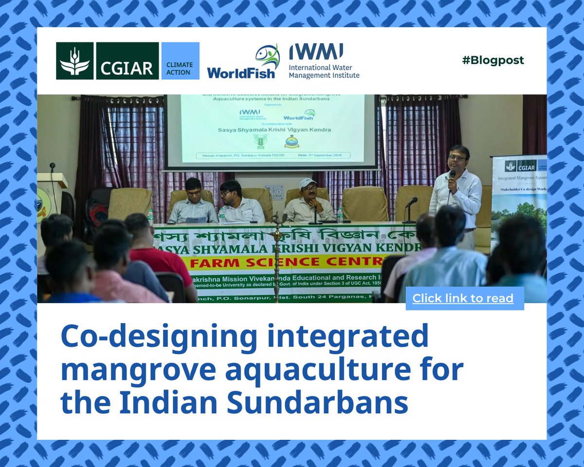CGIARclimate's tweet photo. Mangrove aquaculture can support livelihoods and coastal ecosystems, but only if it works for farmers.

In West Bengal, ~50 farmers worked with @CGIAR @WorldFish, @IWMI_ and partners to test practical guidelines grounded in local realities.

⏩ https://t.co/Q9M8bIcNy7 https://t.co/PISklXCeP0