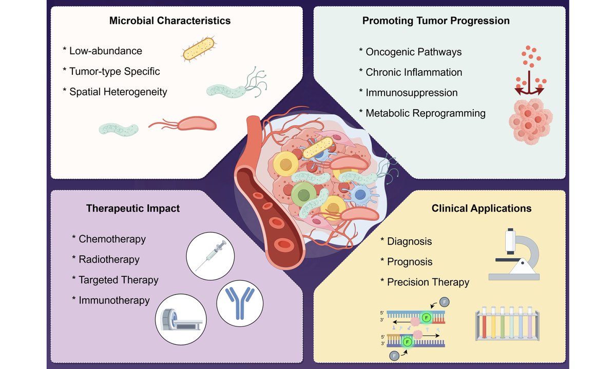 MicroResRep's tweet photo. 🧬 New Article | Intratumoral Microbiota and Cancer

The emerging role of intratumoral microbiota in the tumor microenvironment is reshaping our understanding of tumor biology and therapeutic responses.

📖 Read the full article:  https://t.co/EN8mZVpxY8 https://t.co/lPVHIzQL6N