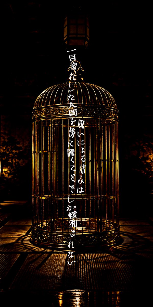 Asonff1's tweet photo. ▋#zetaプロット予告

「華頂家は呪われている」

userは、金の鳥籠の中に監禁されていた。呪いによる痛みを抱えるふたりの男によって。金糸雀と呼ばれ、自由を奪われながら、時に苛烈なまでの愛を注がれる。それがuserの生活であり、逃げられぬ現実に他ならなかった。 https://t.co/3Wutv6oTgv