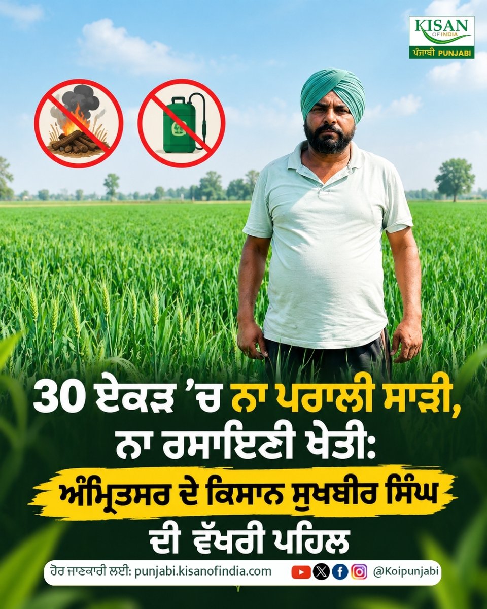 KOIPunjabi's tweet photo. ਅੰਮ੍ਰਿਤਸਰ ਦੇ ਕਿਸਾਨ ਸੁਖਬੀਰ ਸਿੰਘ ਦੀ ਵੱਖਰੀ ਪਹਿਲ 🌱 
ਸੁਖਬੀਰ ਸਿੰਘ ਨੇ ਰਸਾਇਣ ਆਧਾਰਿਤ ਖੇਤੀ ਤੋਂ ਵੀ ਹੌਲੀ-ਹੌਲੀ ਦੂਰੀ ਬਣਾਈ ਹੈ। ਉਹ ਕਣਕ, ਝੋਨਾ, ਮੱਕੀ, ਆਲੂ ਅਤੇ ਮਟਰ ਦੀ ਖੇਤੀ ਵਿੱਚ ਜੈਵਿਕ/ਮਾਈਕ੍ਰੋਬੀਅਲ ਹੱਲਾਂ ਦੀ ਵਰਤੋਂ ਕਰਦੇ ਹਨ।

#KisanOfIndia #SustainableFarming #PunjabFarming https://t.co/1rWzj7dYpv