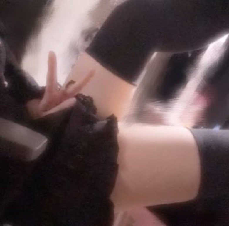 bin_diwl's tweet photo. 2枚目はコメント欄だよ♡ https://t.co/L2f9PIqeNS
