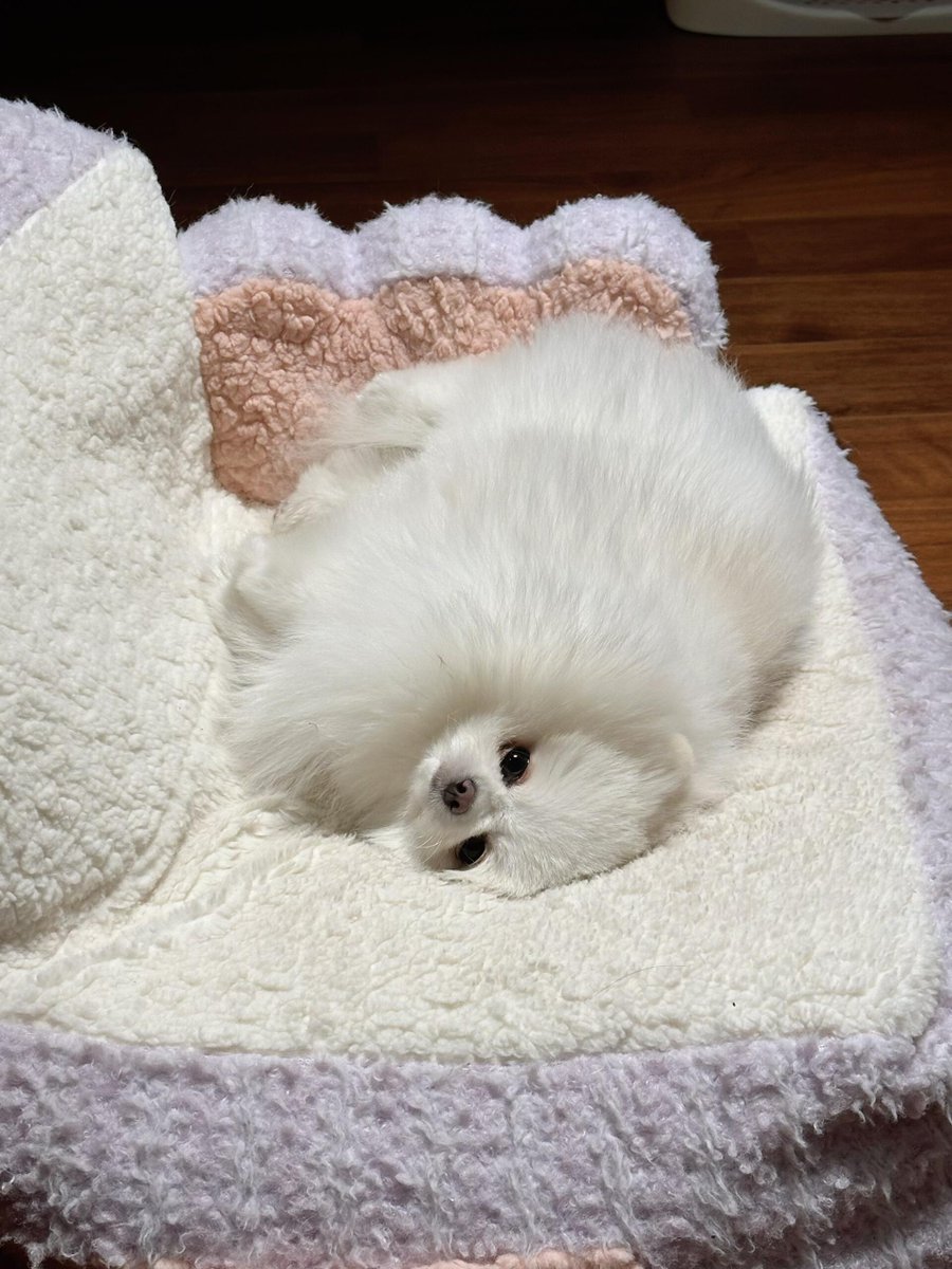 15Myt's tweet photo. 本当に抱きしめてくれないんですか？もう、拗ねちゃいますよ🥺 https://t.co/EeInxbpBk6