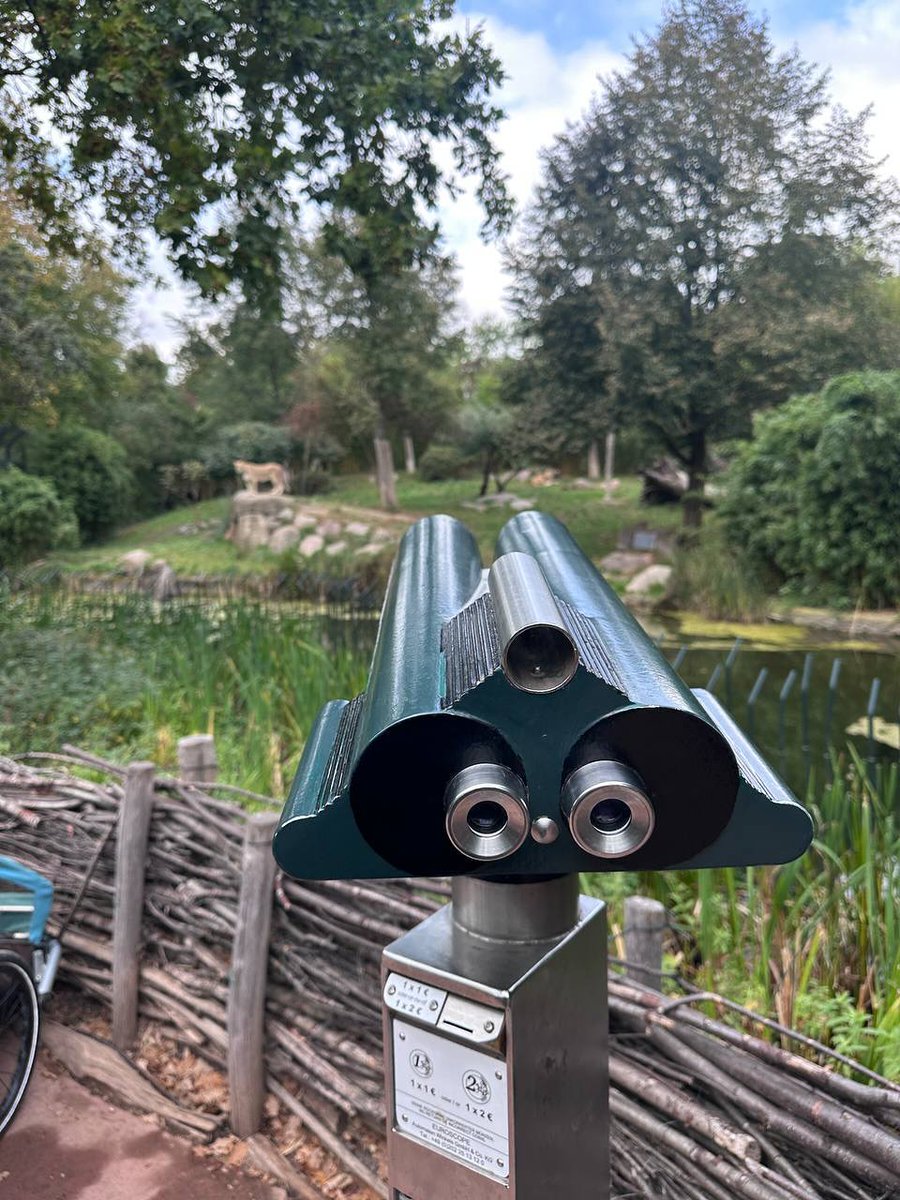 EllaMaiiLolii's tweet photo. Danke Pamphi @pamphi7 🌱🦁🦒🐒🌱🌿
#gesehenundandichgedacht #zooleipzig #leipzig #sachsen #germanytravel #binocularview #telescopeview #fernglasblick #focusmoment #iseefaces #pareidolia #katrinviews #emotionimalltag #wildlifewatching #zoolife https://t.co/a5t9s2fvcl