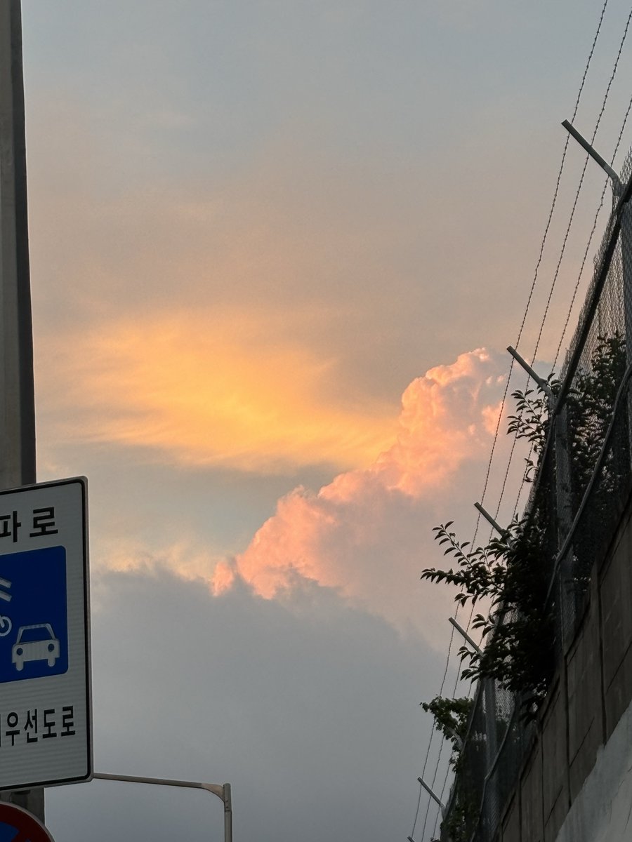 Peng_0O's tweet photo. #일상계 #일상계_트친소 https://t.co/ENOCPKMw0O