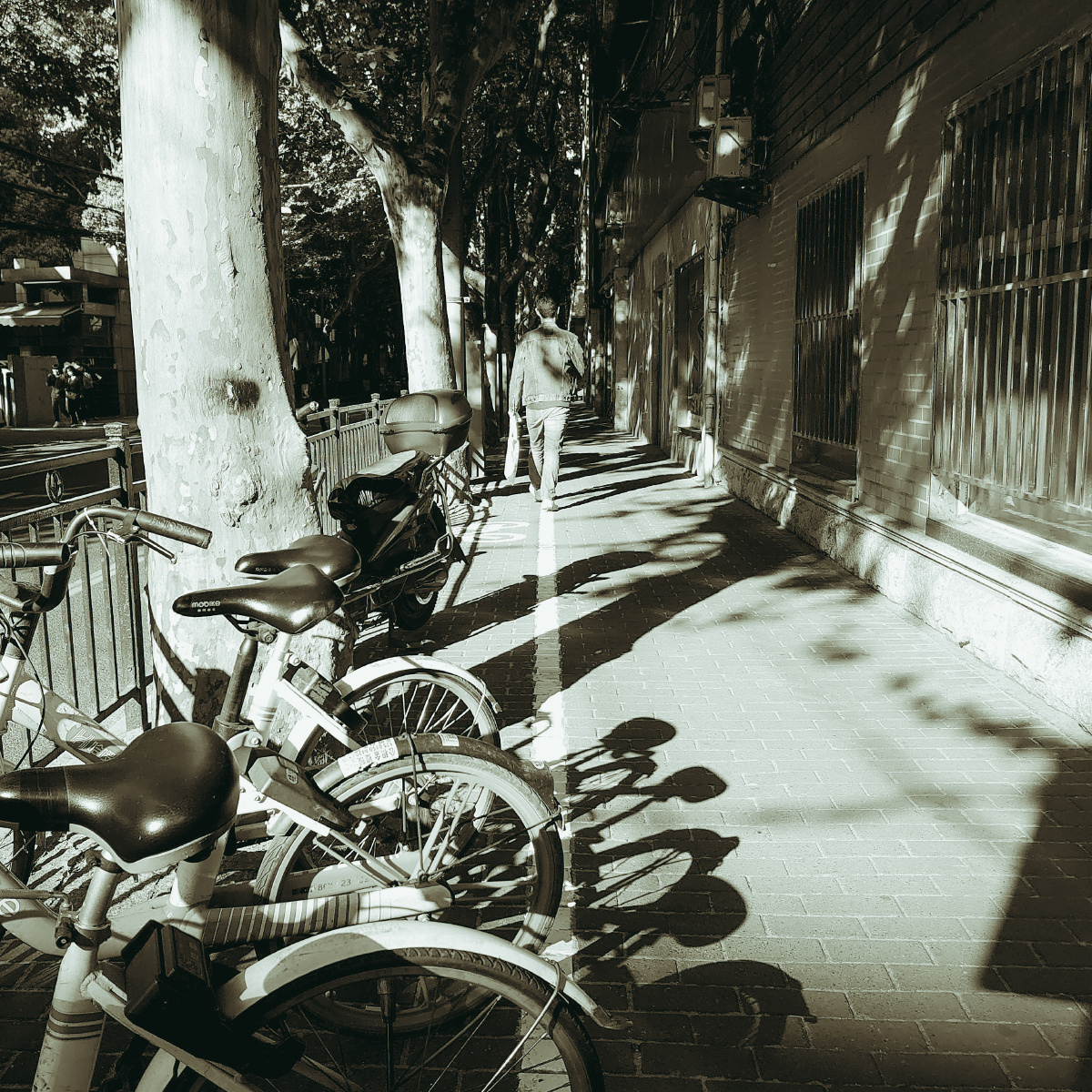 cla62c04462's tweet photo. Chased the golden hour glow and found this random alley full of old bikes—city magic hits when you stop rushing. https://t.co/ZXwGmkwdfz