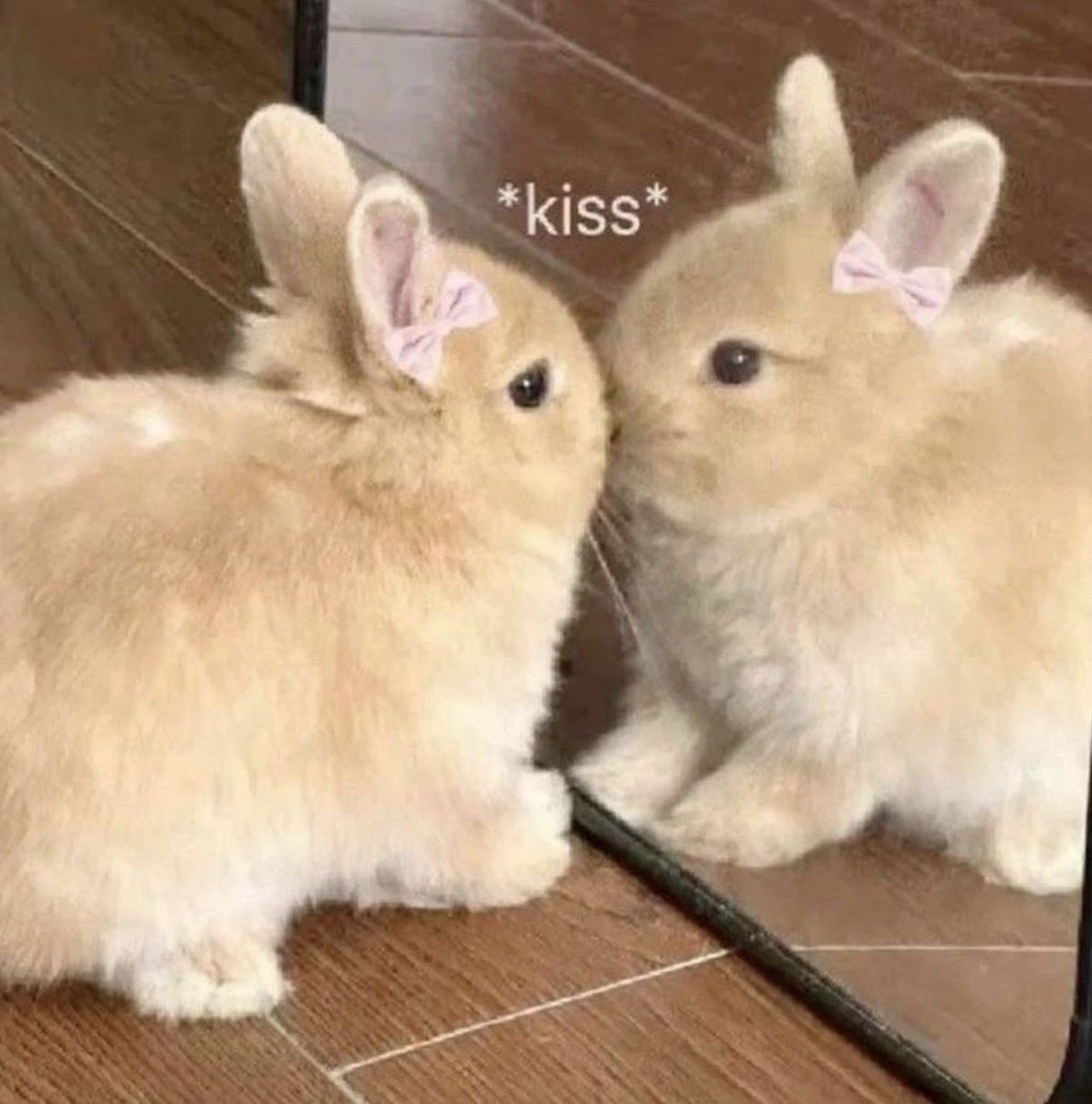 flutterbunbun's tweet photo. https://t.co/GcApWOKXfS