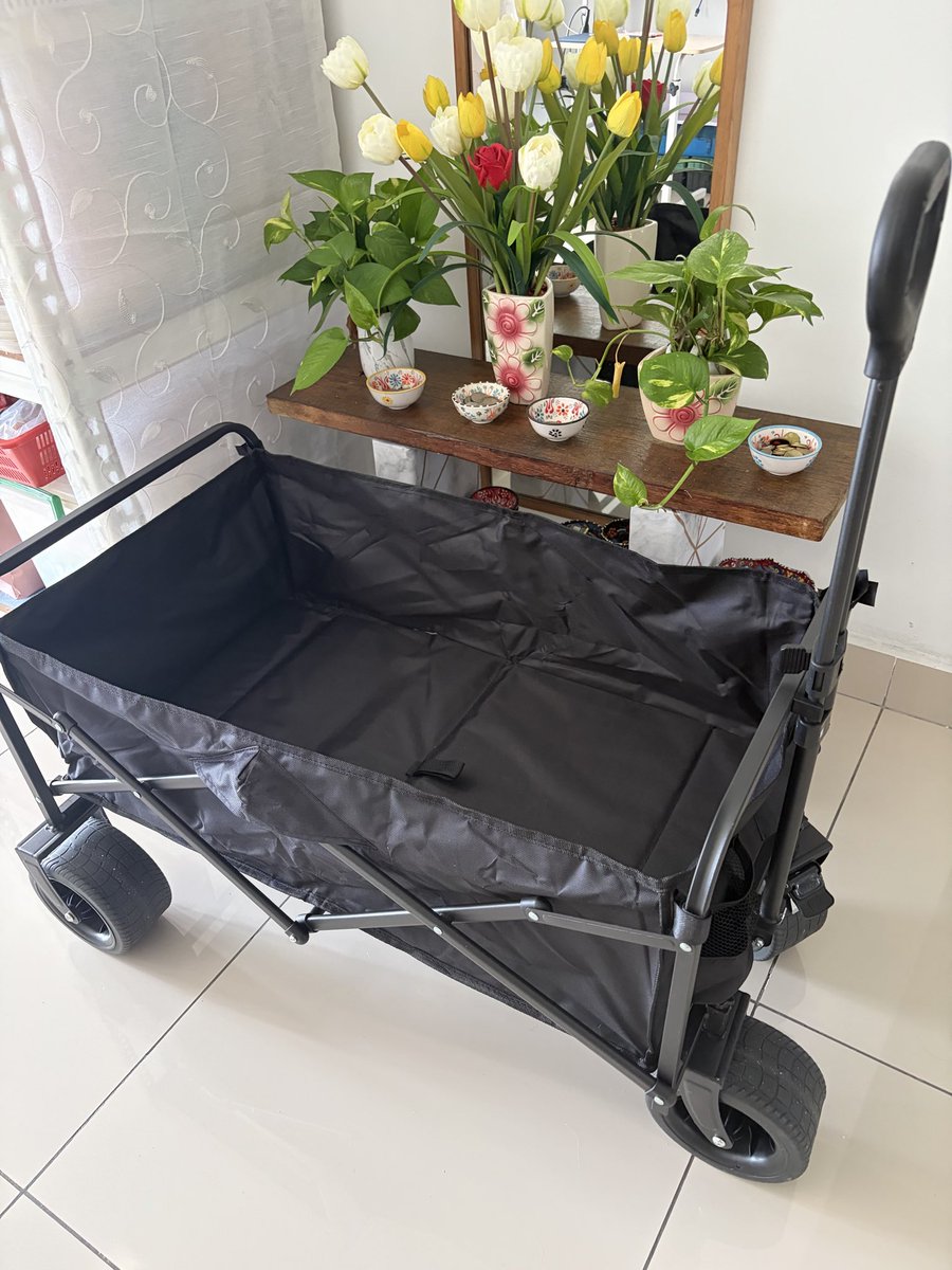 TravelFoodGames's tweet photo. Mia’s new Wagon. Going for a ride after a bath. 😍 https://t.co/8Tk96jo0D3
