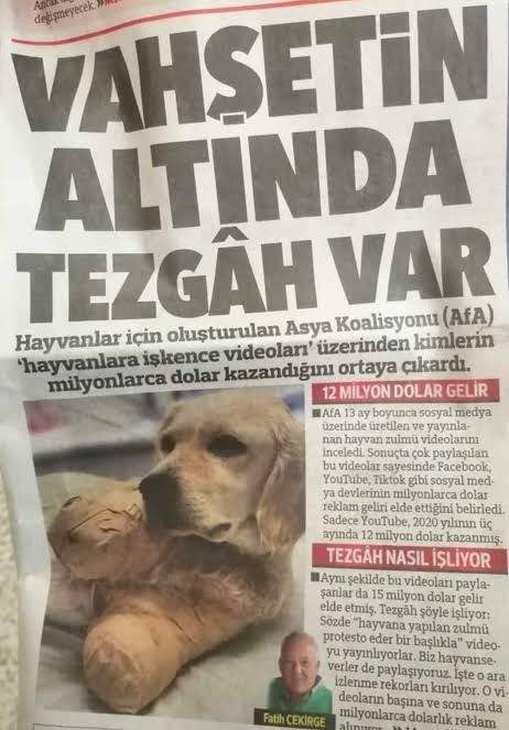 Red_Flowerer's tweet photo. @ankara_k1z1 https://t.co/Pgft5NVpUj