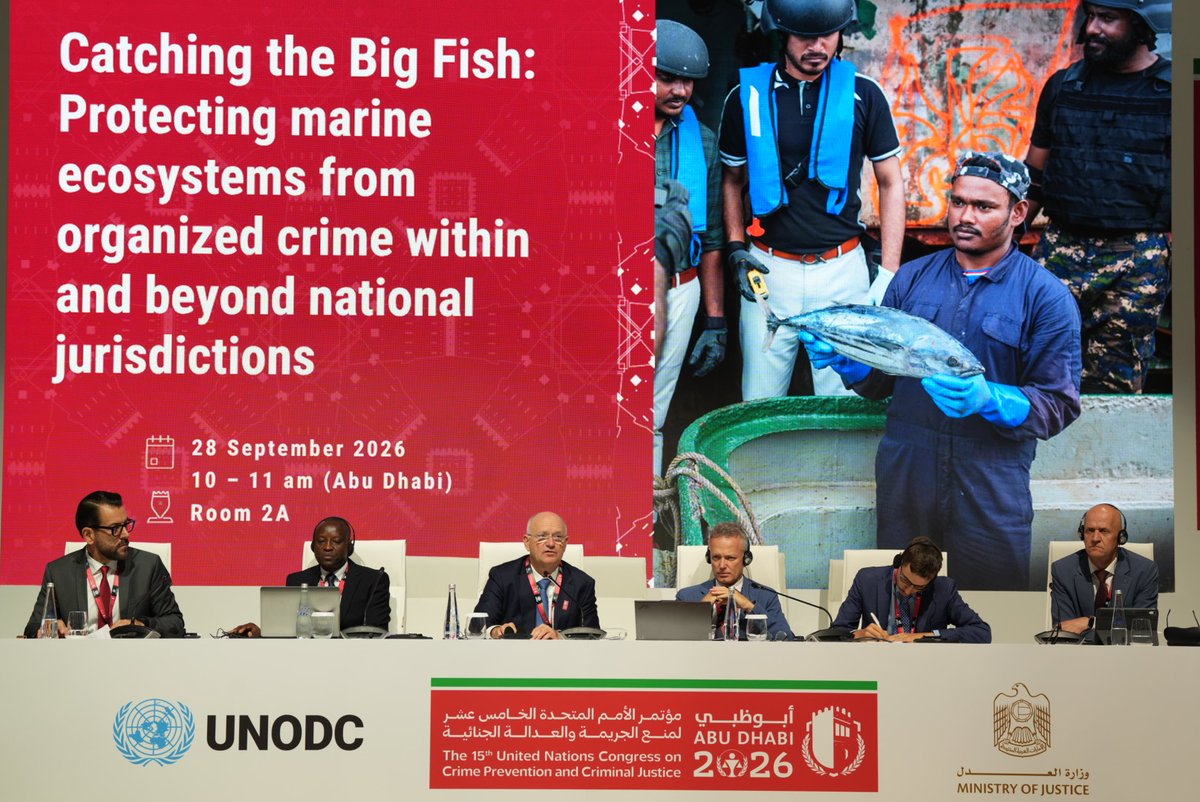 UNODC's tweet photo. Corruption doesn’t just drain public funds. It can enable illegal fishing, while our oceans pay the price.

At the #CrimeCongress today, UNODC launched the new Rotten Fish guide, showing how tackling corruption in fisheries can help protect what’s left: https://t.co/GCHpHe18xf https://t.co/TQcnr5ngOJ
