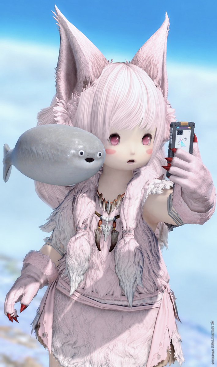 mofumofu_ff14's tweet photo. サカバンバスピスみーつけた🐟📸.ᐟ.ᐟ
#おはララ #FF14 #ララフェル https://t.co/3vTSNsdVQj