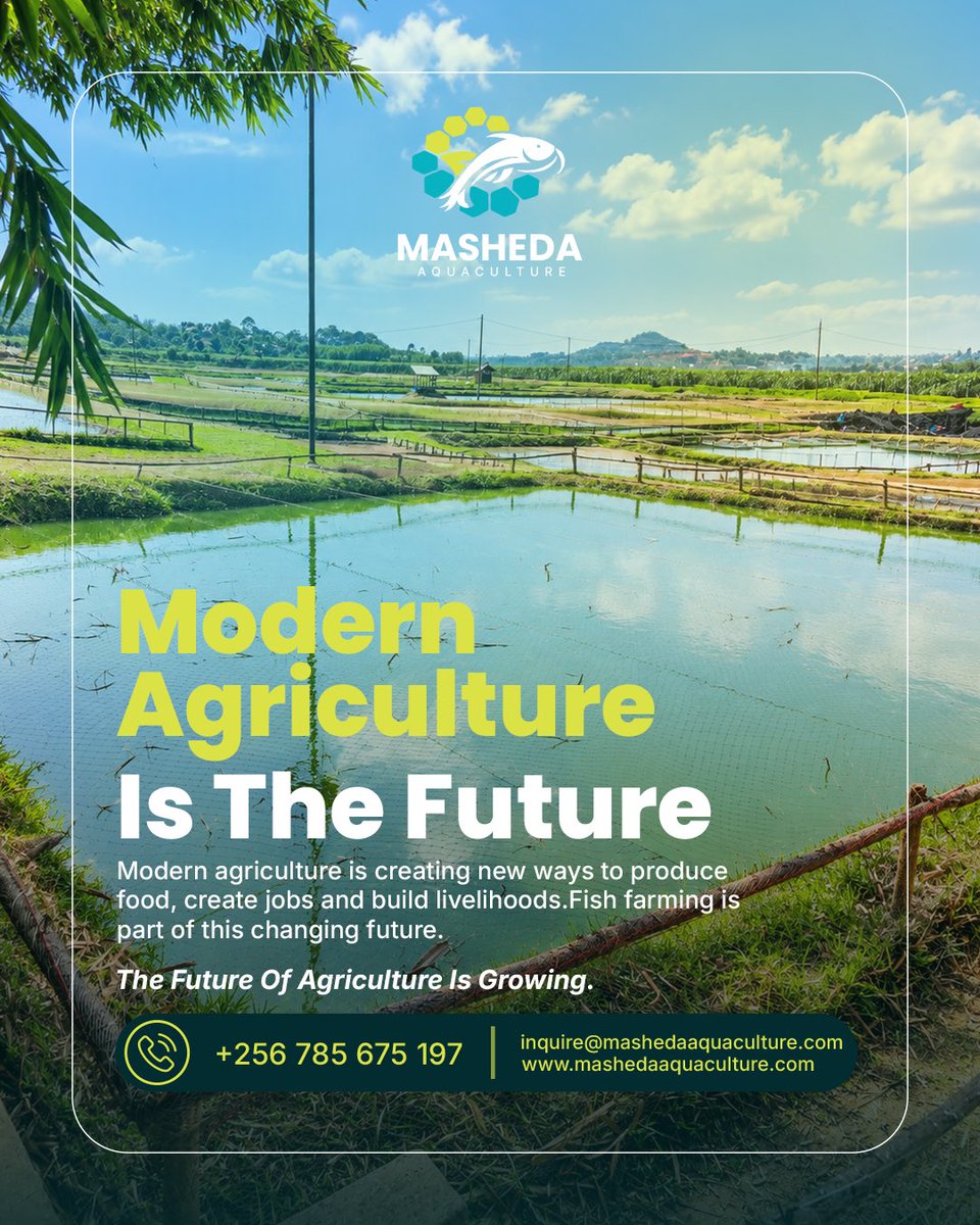 mashedaaquac's tweet photo. Agriculture is changing, and aquaculture is part of that change.

Modern fish farming can contribute to food production, employment and economic opportunities.

#MashedaAquaculture #ModernAgriculture #Aquaculture https://t.co/Iki4poDbUx