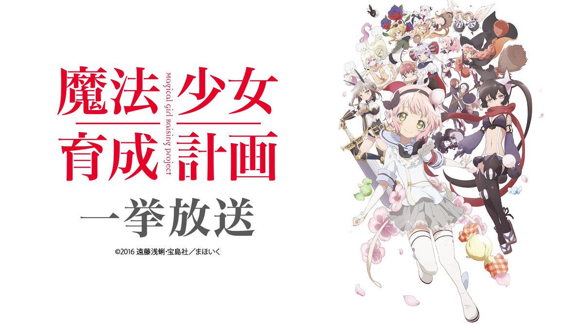 nicoanime_PR's tweet photo. ⏰10/3(土)18:30～

「魔法少女育成計画」全12話
&amp;
【新作】「魔法少女育成計画restart」1話Aパート
一挙放送決定🪄

全12話放送後には、テレビ放送よりも早く新作「魔法少女育成計画 restart」1話のAパートを続けてご視聴頂けます♪

#まほいく
@MGRP_PrjRestart https://t.co/LAFRm4yTvi
