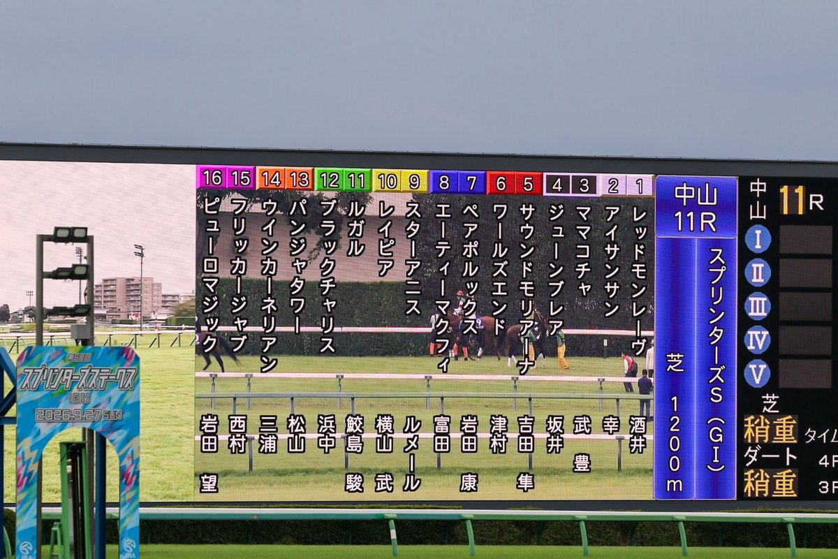 _mtmtkkn_'s tweet photo. 2026.09.27

連覇を夢見たスプリンターズステークス

結果は悔しすぎるものだったけど、年齢を全く感じさせない姿と走りに感動しました.ᐟ.ᐟ

お疲れ様でしたִ ࣪𖤐

#ウインカーネリアン
#三浦皇成 騎手 https://t.co/BTi6WFLX38