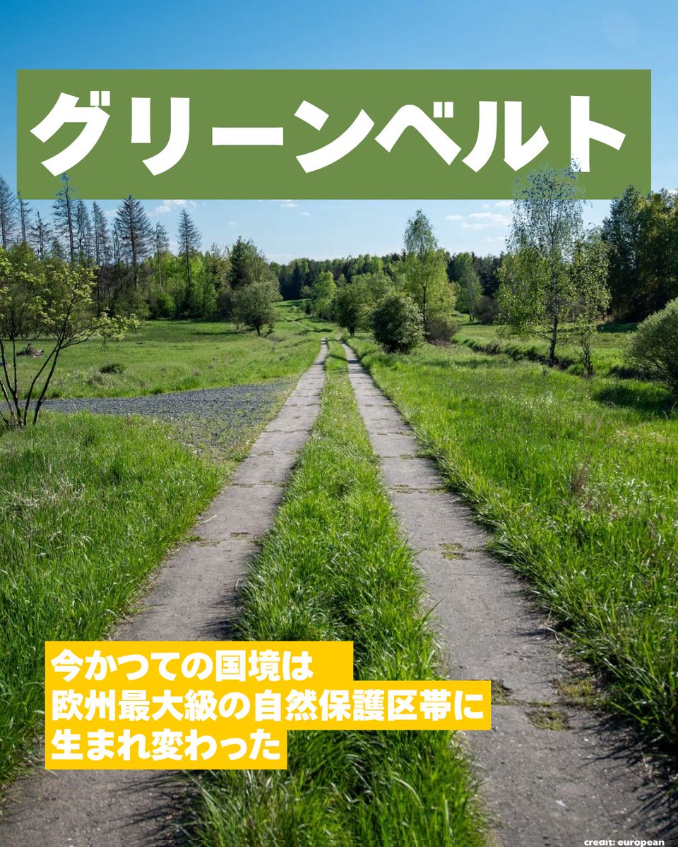 GermanyinJapan's tweet photo. ドイツを東西に隔てていたかつての国境の今は？
実は通称「グリーンベルト」と呼ばれている、欧州有数の広大な自然保護区帯に生まれ変わっています。1400kmをも超えるこの「グリーンベルト」には森林、草原、湿地帯が広がり、無数の野生動物が生息しています。🌳🦉 https://t.co/kF5kojrDRl