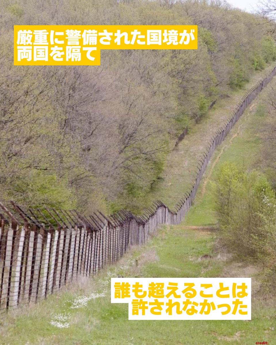 GermanyinJapan's tweet photo. ドイツを東西に隔てていたかつての国境の今は？
実は通称「グリーンベルト」と呼ばれている、欧州有数の広大な自然保護区帯に生まれ変わっています。1400kmをも超えるこの「グリーンベルト」には森林、草原、湿地帯が広がり、無数の野生動物が生息しています。🌳🦉 https://t.co/kF5kojrDRl