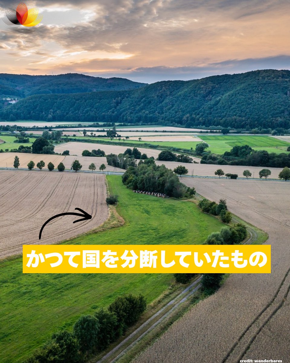 GermanyinJapan's tweet photo. ドイツを東西に隔てていたかつての国境の今は？
実は通称「グリーンベルト」と呼ばれている、欧州有数の広大な自然保護区帯に生まれ変わっています。1400kmをも超えるこの「グリーンベルト」には森林、草原、湿地帯が広がり、無数の野生動物が生息しています。🌳🦉 https://t.co/kF5kojrDRl