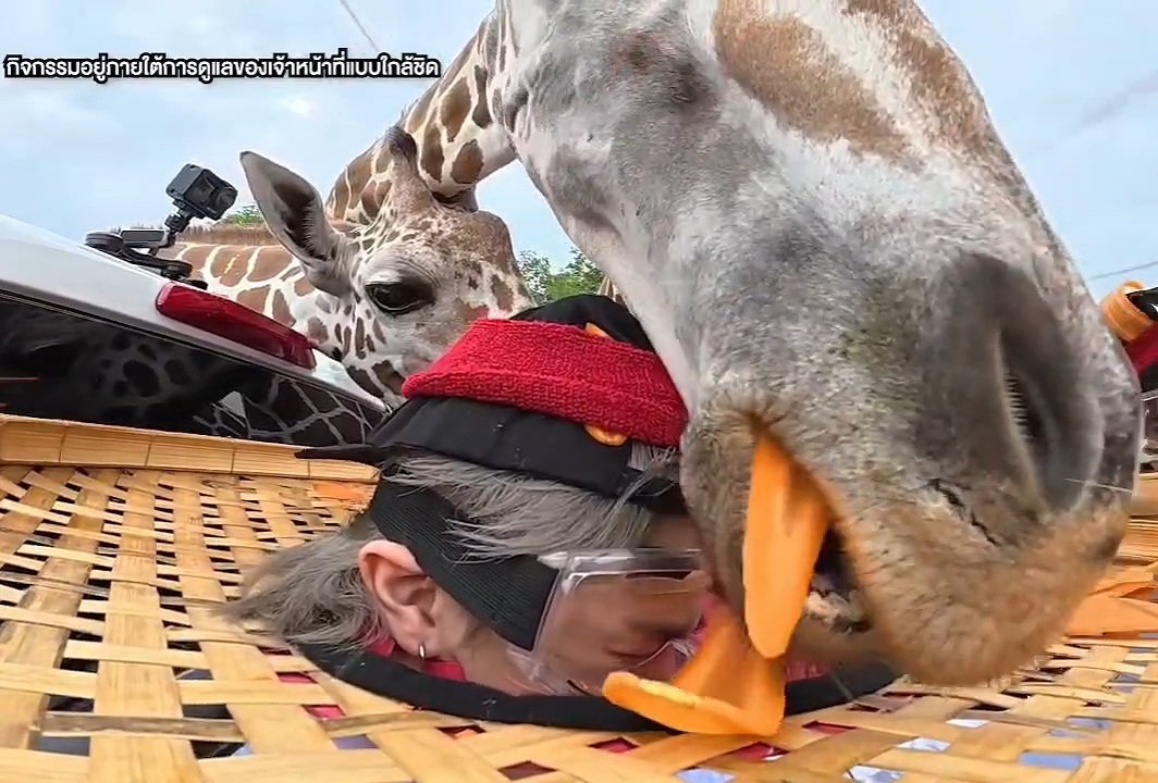 Everest_kp's tweet photo. พึ่งได้ดู คืออออออเมนพ้มสิไห้ละนั่น 555555556555556 มุดหน้าหนีน่ารักอ่าาาาแต่ขอขำ🤣😘

#MAXVOTEROADTRIPSS2EP2
#JackieJackrin https://t.co/Ta3AK65qAU