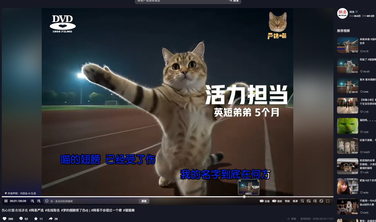 Vugnox's tweet photo. 网易抖音官方给的名字，严选喵
视频00:10查验
https://t.co/iVvi3PS6q2 https://t.co/sskZJ7cMg3