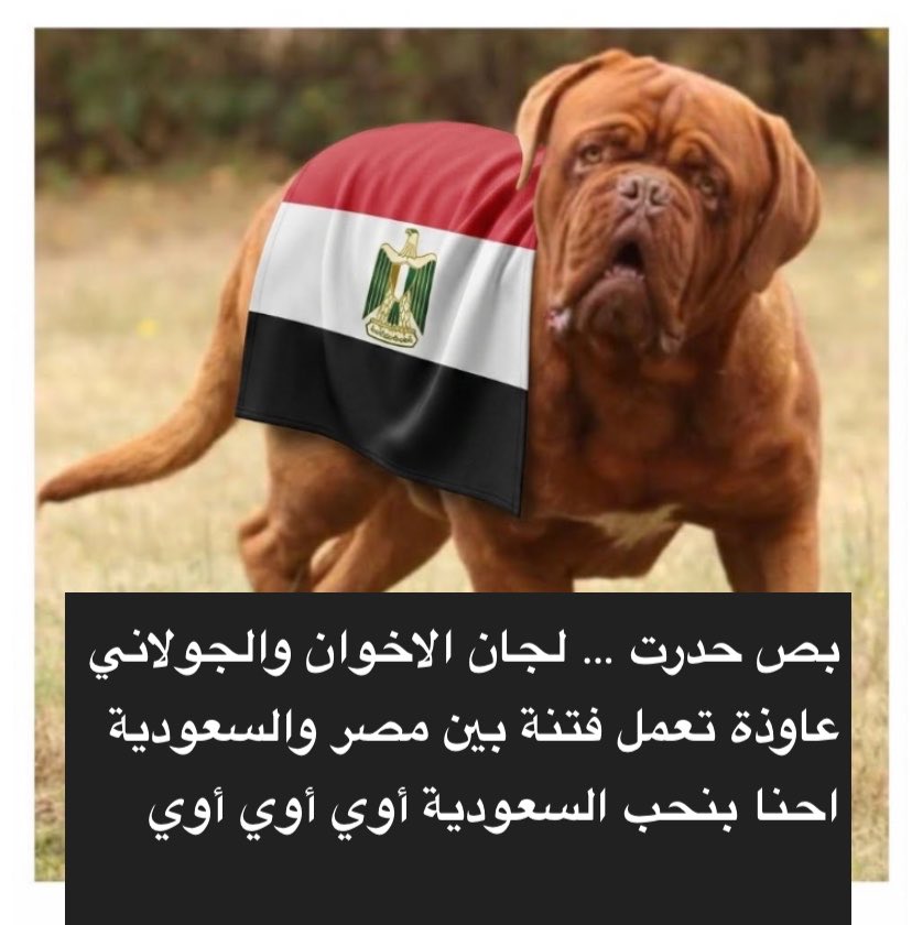 saad888r's tweet photo. @alshagiri بدون تقرير استخباراتي - الجميع شاهد حملة لجان المتحدة التابعة للاستخبارات المصرية  عندما قررت السعودية دعم الحرمة السورية الجديدة -وتصدى لهم المغردين السعودين وبعد عدة اشهر خرج إعلام جيش الكفتة يتهم الاخوان ولجان الجولاني بانها تريد فتنة بين السعودية ومصر لامتصاص ردة فعل السعودين https://t.co/WS4SRMxhVo