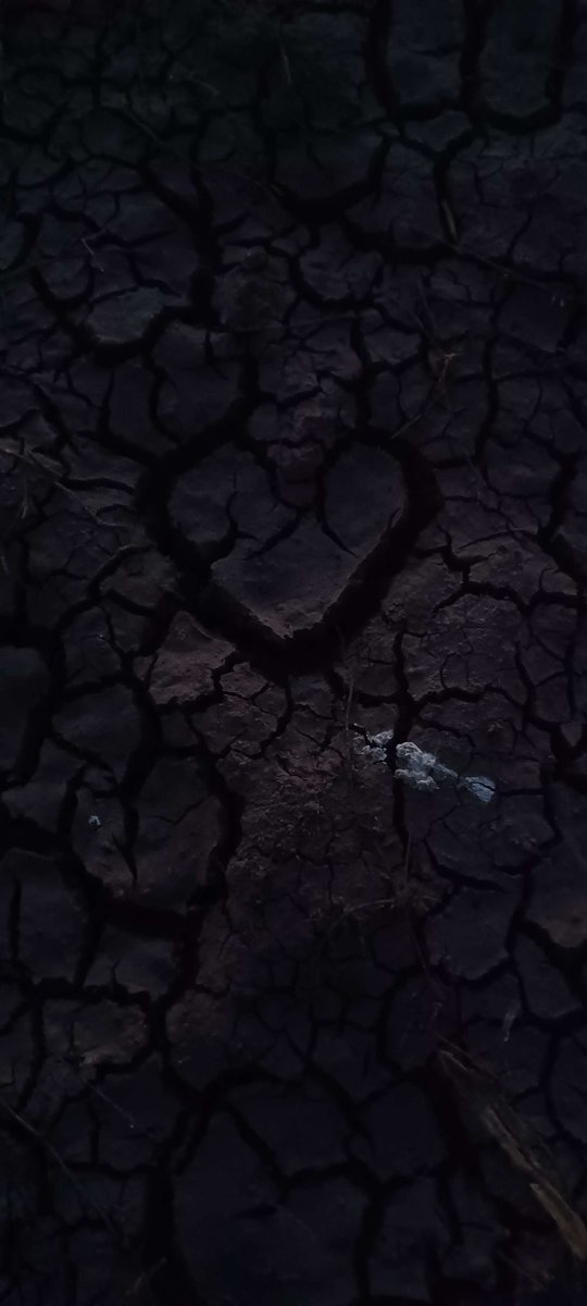 Deemsus's tweet photo. What a cool shape I encountered in the middle of a dried lake (Looks kinda like a heart) https://t.co/QmbNtWyJp1