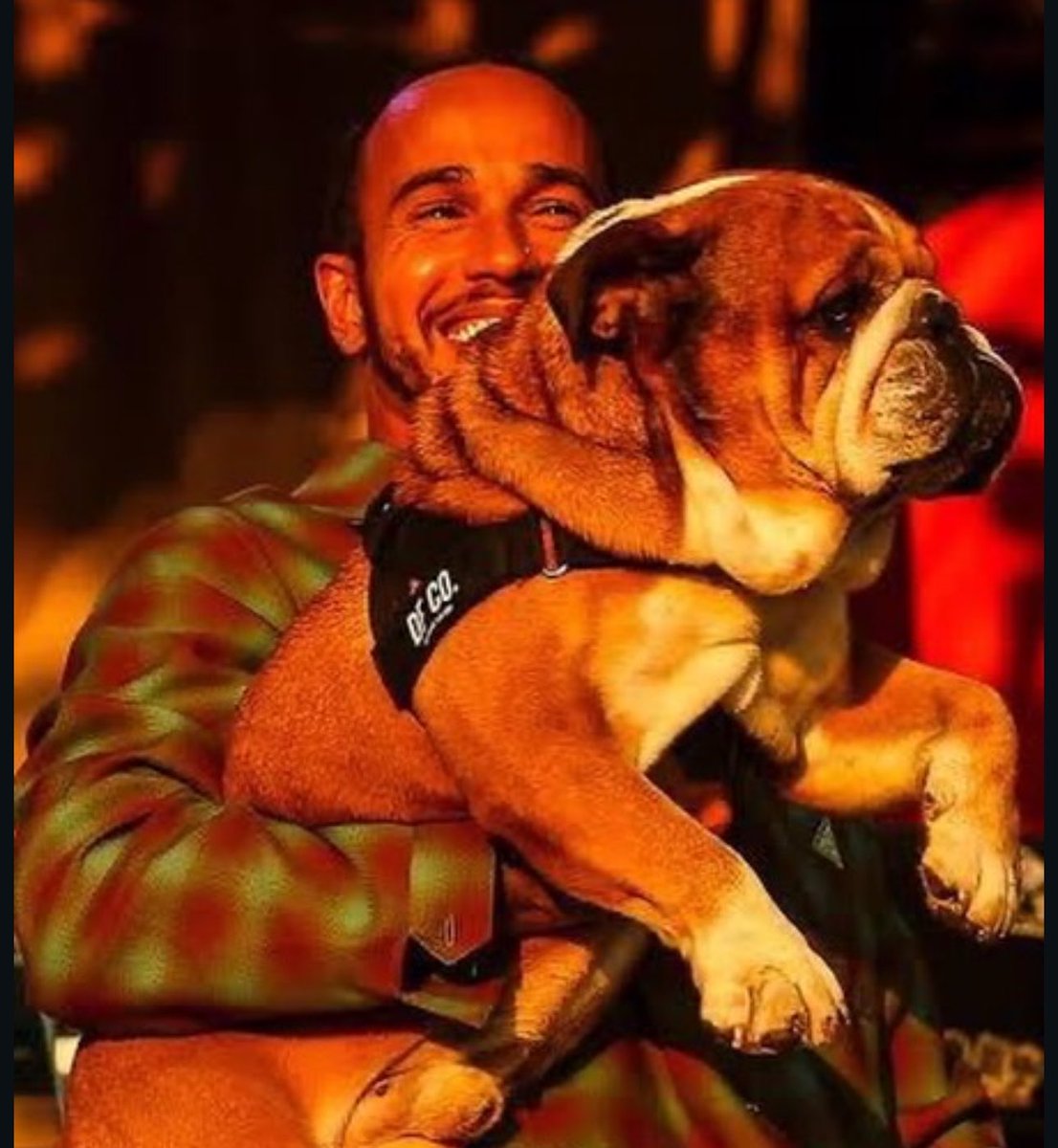 paddockfiles's tweet photo. September 28th. One year without Roscoe. 🤍
Lewis and Roscoe years of races, paddocks, travels and life together. One of F1’s most loved duos, and a bond that will always be special🐾🤍 https://t.co/91ahBIwx1w