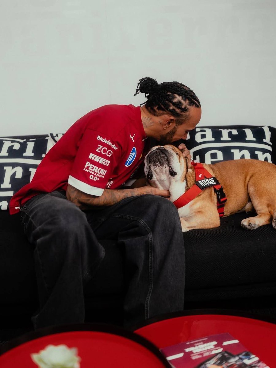 paddockfiles's tweet photo. September 28th. One year without Roscoe. 🤍
Lewis and Roscoe years of races, paddocks, travels and life together. One of F1’s most loved duos, and a bond that will always be special🐾🤍 https://t.co/91ahBIwx1w