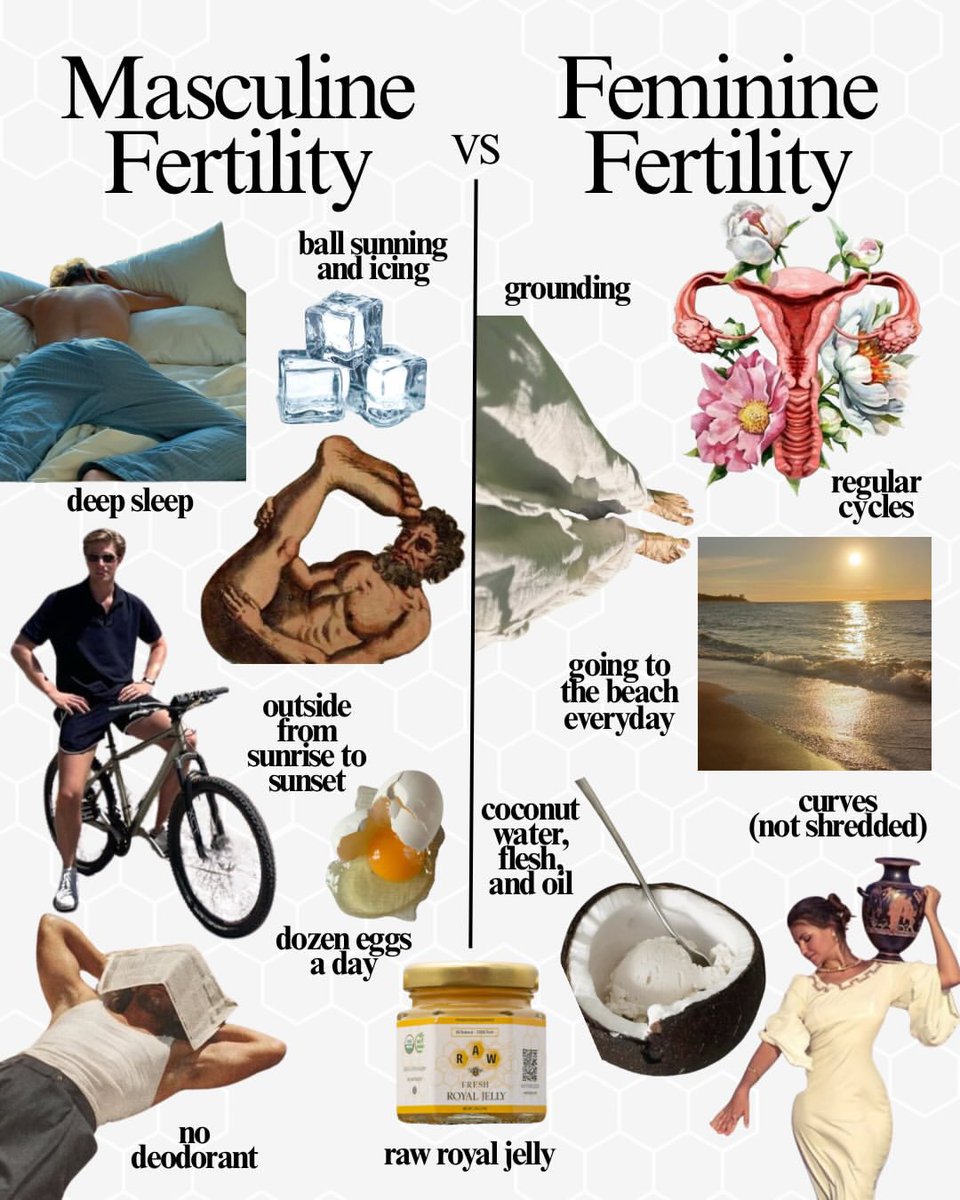 MagnusVigso's tweet photo. Masculine fertility vs Feminine fertility https://t.co/CEYA3M6I6t
