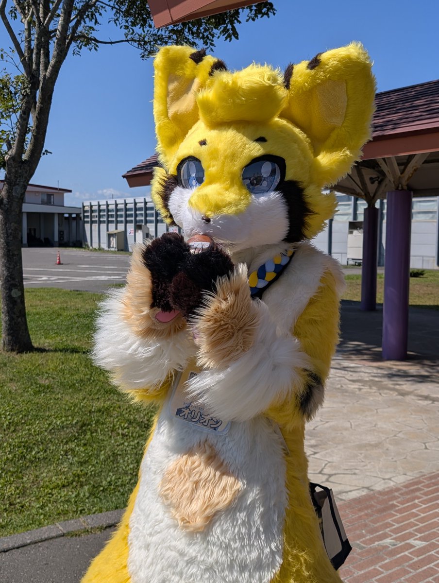 canariya_fox's tweet photo. #ケモノをみて今週もがんばりマンデー

天候あまり良くないけど、身体は無理しないようにねぇ〜 https://t.co/GQQiKHnGBh