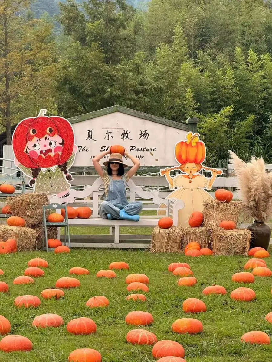 Hi_Deqing's tweet photo. Ditch the mall! Deqing farms are childhood magnets—pick chestnuts, roll in pumpkin piles, ride mini trains, and bake stone-oven bread. From field to table, this fall break keeps little hands off screens. #Deqing #FarmFun #FamilyTravel https://t.co/p9o0083AF3