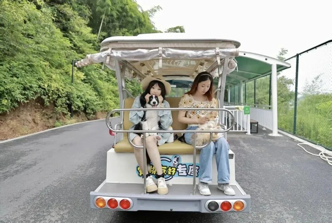Hi_Deqing's tweet photo. Bring your fur baby! Yaowu Resort, dubbed "Little Jiuzhaigou," welcomes pets with frisbee, rabbit hunts, and go-karts. Splash down glass slides, snap emerald pool photos—this fall break is wild for the whole family, paws included.
#Deqing #YaowuResort #PetFriendly #GlassSlide https://t.co/NENJIwRUu3