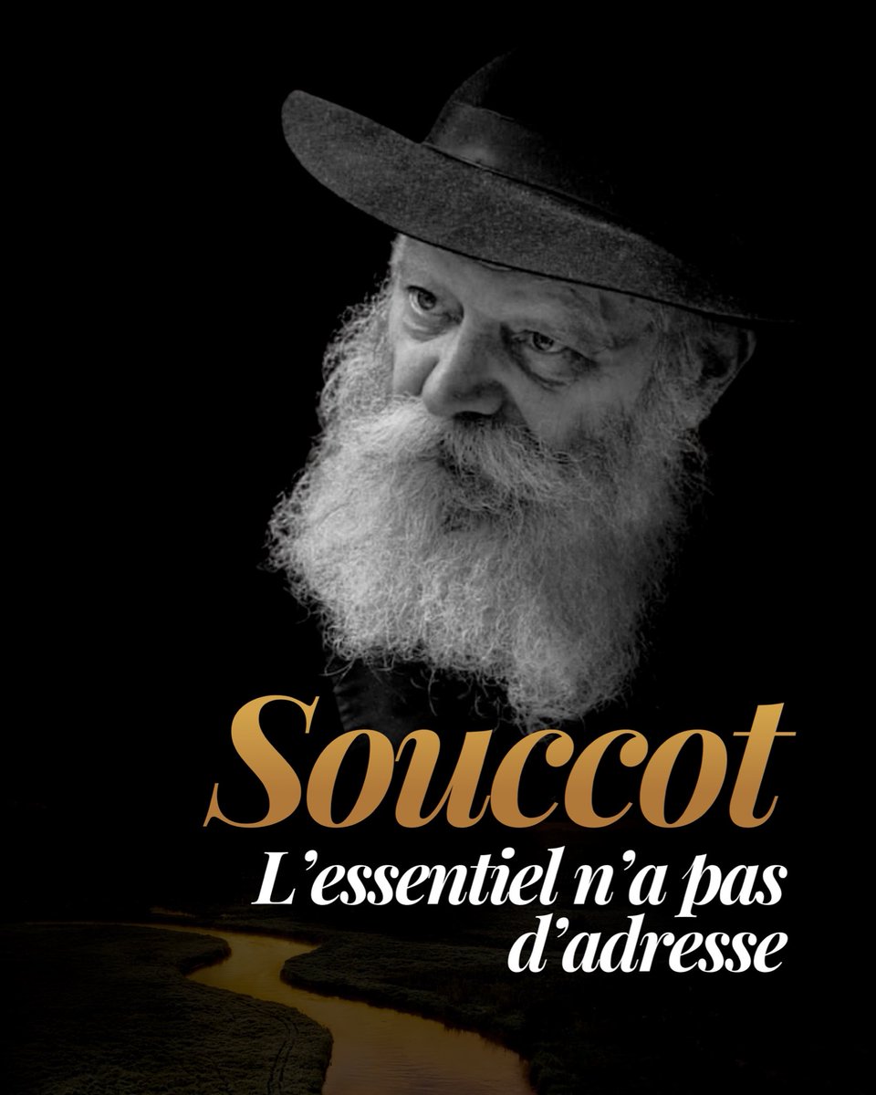 partagerLumiere's tweet photo. https://t.co/S9yl3LU6t6