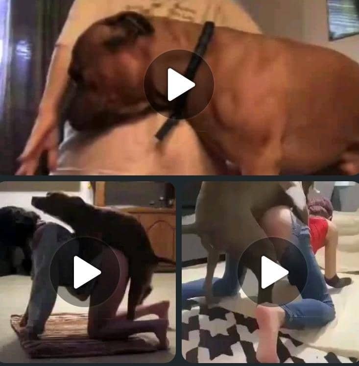 milly_k922's tweet photo. #zoophile #zoosarevalidI let my dog goes deep inside me on TELEGRAM:https://t.co/urR1NNHhIC 
#zoophillia #zoosarevalid #beastiality
#dogknot #zooprideisvalid #zoophile
#antizoo #antizoophileantizoo #k9girl #zoopride
#zoophilepride #zoopositivity
#Bestiality #hypnotistsappho https://t.co/Y4tAFFGGcU