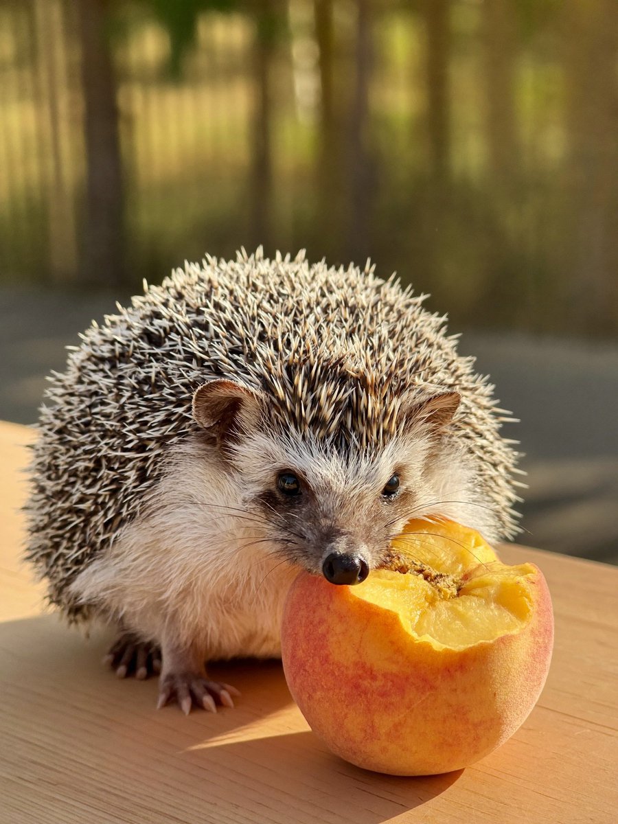 hazelmitchellgl's tweet photo. Warning: dangerously cute ahead. More cuteness every day. https://t.co/no1NoXkmnK