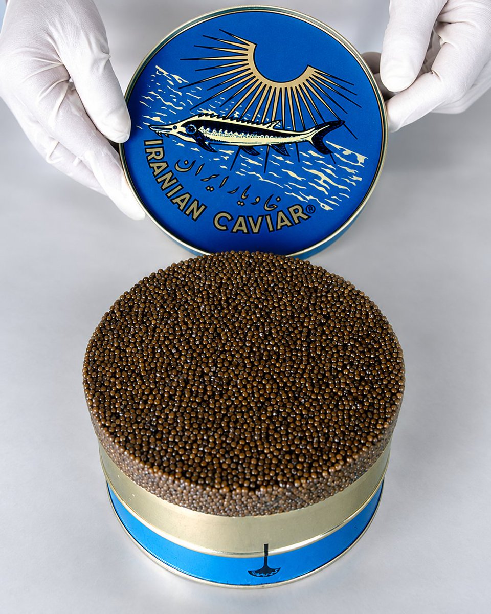 CyrusTabrizi_86's tweet photo. Caspian pearls, opened under gloves.

Caspian Monarque Beluga, from $225.
https://t.co/mXGi9x3Y2T https://t.co/iLK2NrCNNF