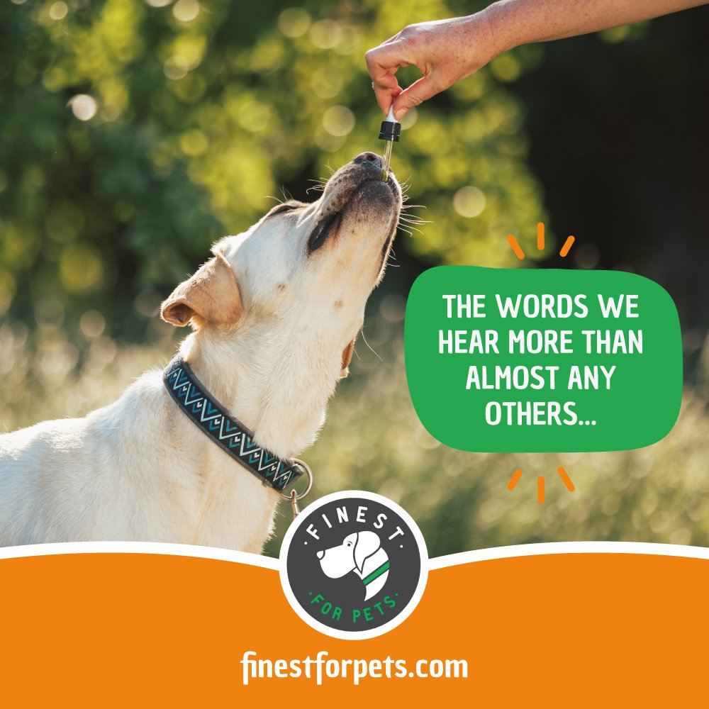 FinestForPets's tweet photo. "I wish I'd started sooner." Support healthy joints with Rejenease.

#Rejenease #DogMobility #JointSupport https://t.co/nJGd3eBEMR
