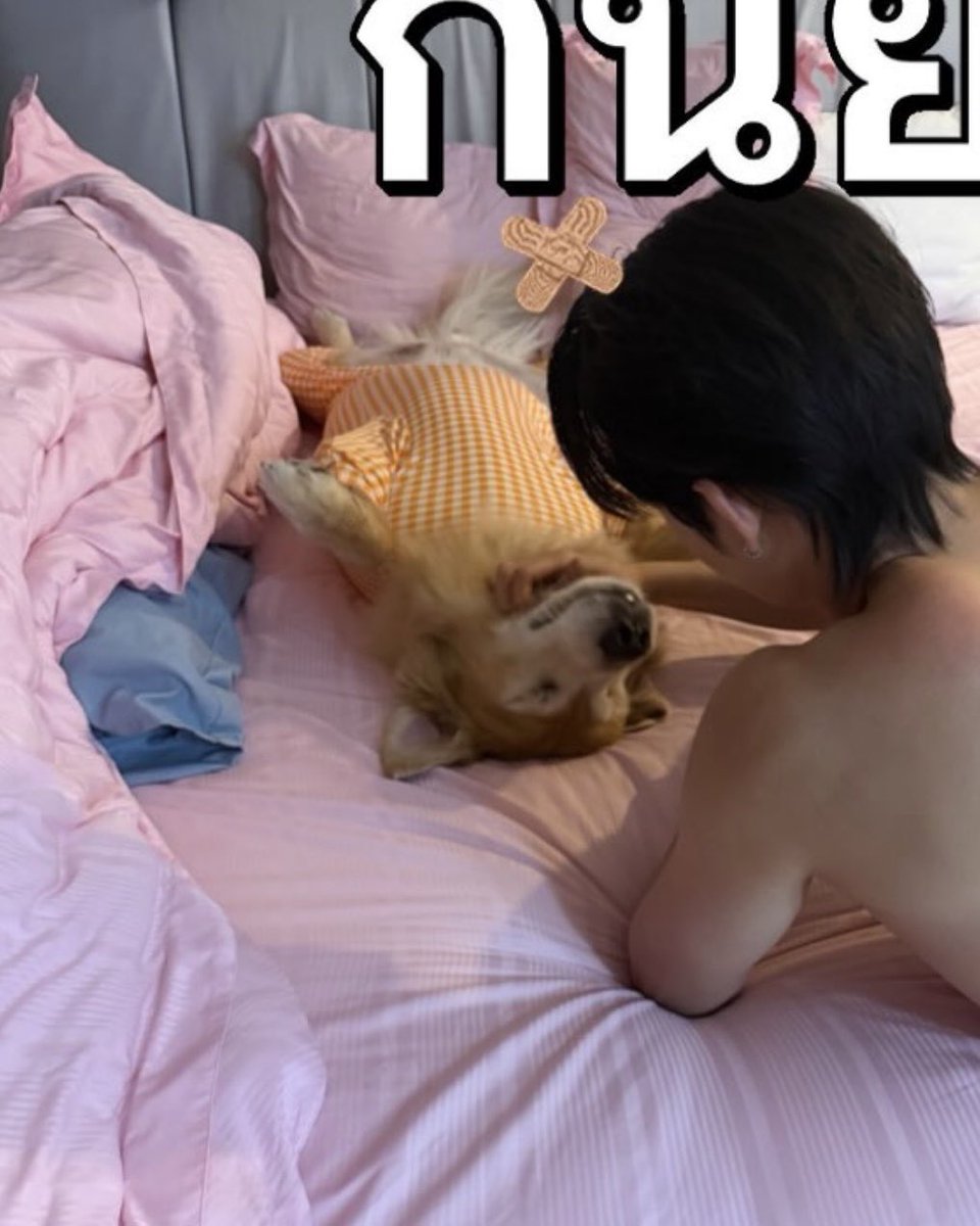 thursfourr's tweet photo. nong est with pb so cute tee sud nai lok 🐶👼🏻💘 pb said เป็นช้านนนทุกทีที่โดนอ้อน🤲🏻 https://t.co/gV4DIEoCIo